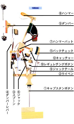 ■