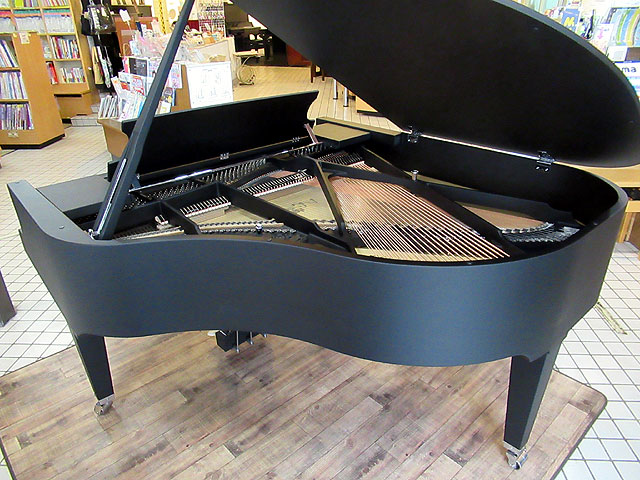 SCHIMMEL C169 Tradition (Black Pearl)